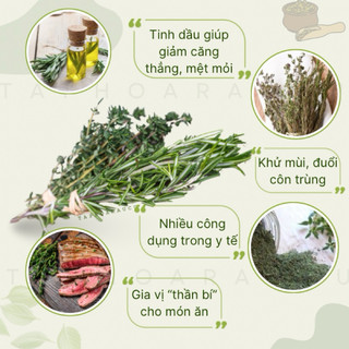 Lá Hương Thảo/ Cỏ Xạ hương ( Lá Tươi ) - Giao hoả tốc