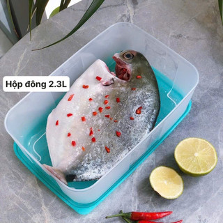 Hộp Trữ Đông Size Lẻ (1 hộp)