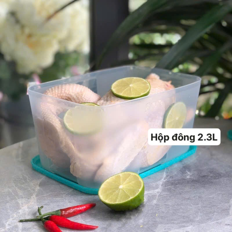 Hộp Trữ Đông Size Lẻ (1 hộp)