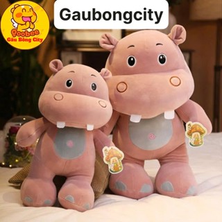  Gấu Bông Hà Mã Đứng Cao Cấp Gấu Bông City - Con Voi Tê Giác 