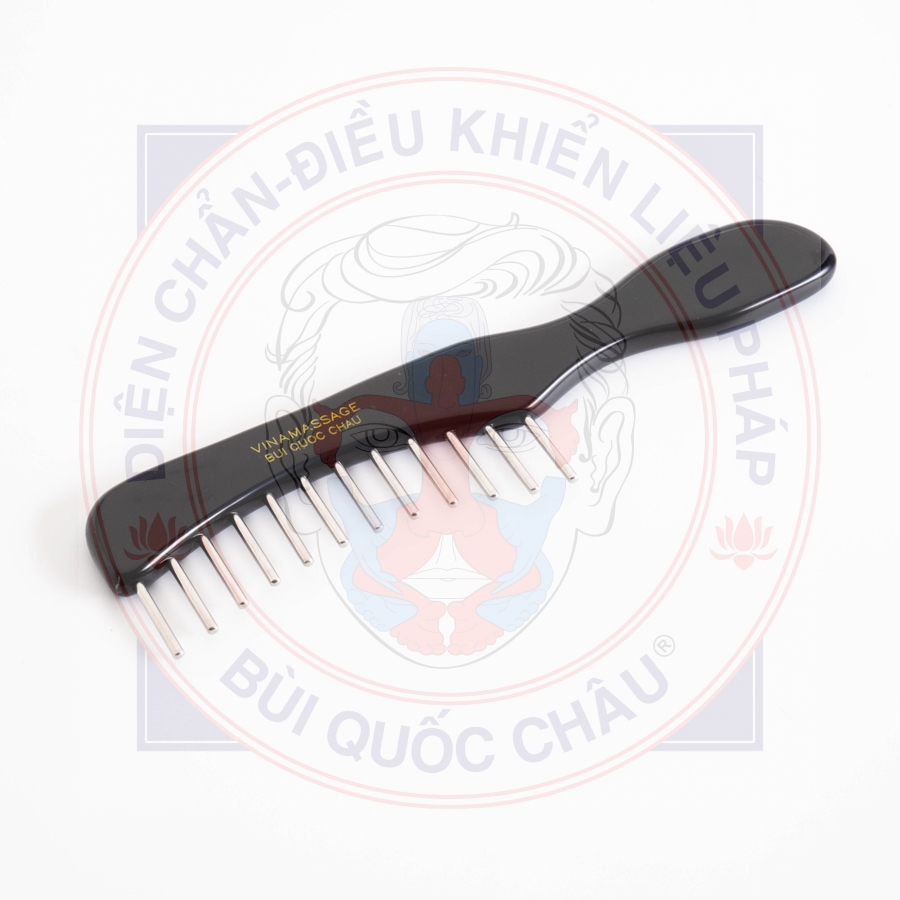 Lược tiên Diện Chẩn