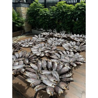 Khô Cá Sặc Cà Mau Size Lớn Vừa Ăn Không Mặn