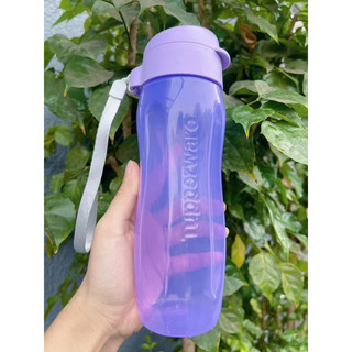 Bình nước Eco gen II 500ml