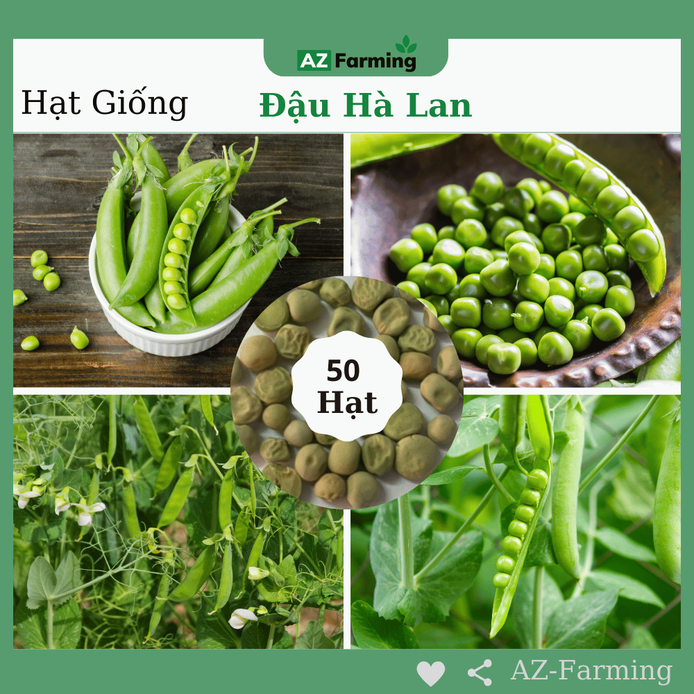Hạt Giống Đậu Hà Lan - Gói 50 Hạt - AZ Farming