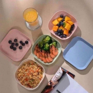 [ComBo] 8 Bát Đĩa Lúa Mạch Vuông Màu PASTAL Siêu Xinh . CAA!