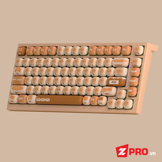 Bàn phím cơ AKKO x Monsgeek MG75W Bun Wonderland