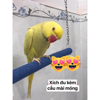 Xích đu kèm cầu mài móng.