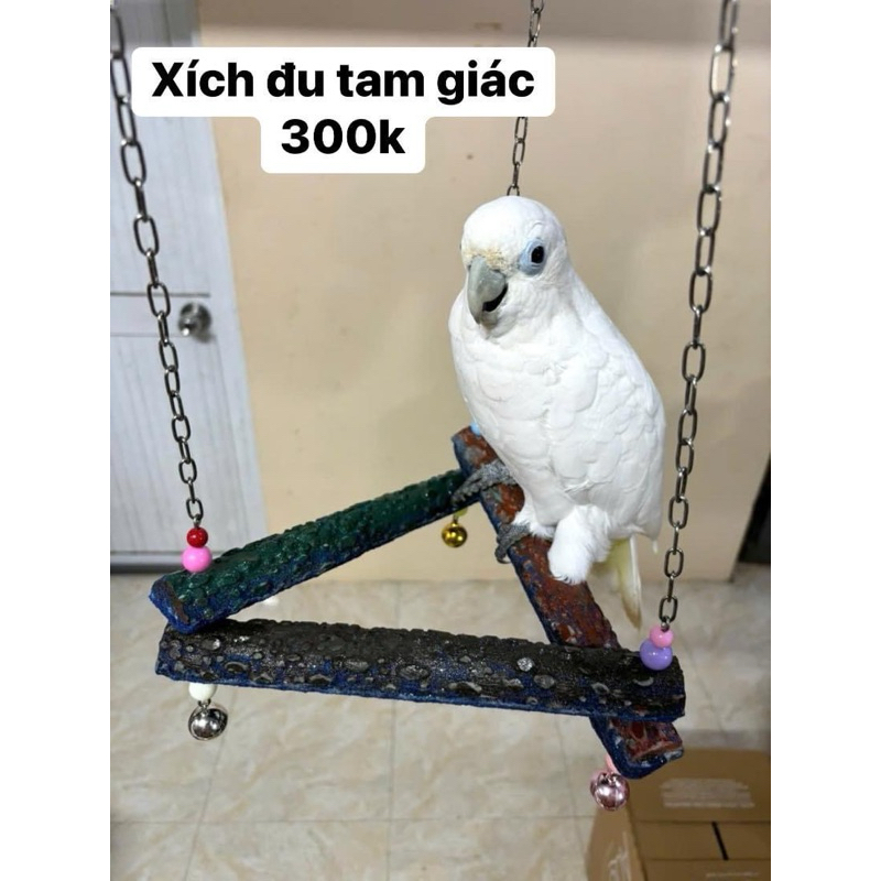 Xích đu kèm cầu mài móng.