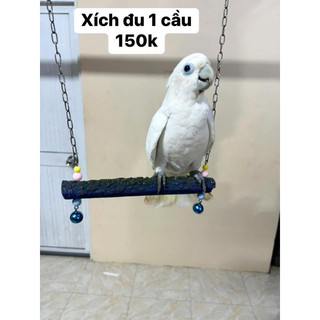 Xích đu kèm cầu mài móng.