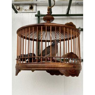 Lồng chim Cu gáy gỗ mun đuôi công size 40 lồng nuôi cu gáy cao cấp bền đẹp