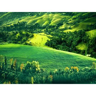 Máy ảnh Canon SX60 HS cũ khá | Hoàng Tô Camera