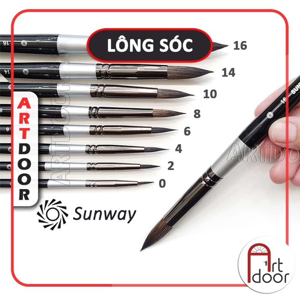 [ARTDOOR] Cọ vẽ màu nước đầu Tròn SUNWAY Basic (B207) lông Sóc, thân Đen
