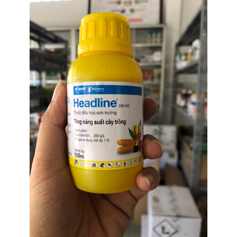 Headline 250EC, thuốc điều hoà sinh trưởng, Basf - Đức