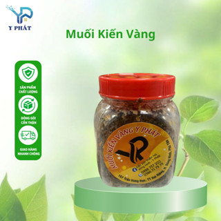  Muối Kiến Vàng Y Phát Đặc Sản Phú Yên Thơm Ngon Chấm Được Nhiều Loại 30g - 100g 