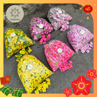  {Tết 2026} 200g hoa mai hoa 🌸 hoa giả trang trí Tết giá xưởng 