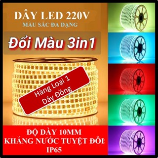 Đèn LED dây 2 hàng 3 hàng 2835 5730 Trắng/ Vàng/ Đổi Màu trang trí quấn cây ngoài trời, hắt trần thạch cao, tủ bếp