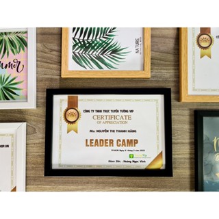 Khung Ảnh - Khung Bằng Khen - Khung Đen, Mặt Mica Treo Tường Để Bàn 21x30cm(A4)/ 25x35cm(B4)/30x42cm(A3)