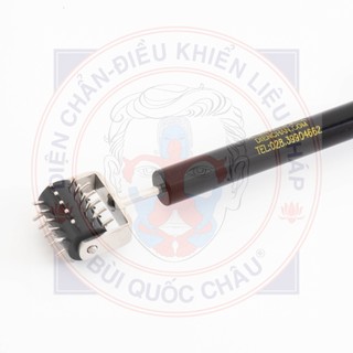 Lăn cầu + Đinh