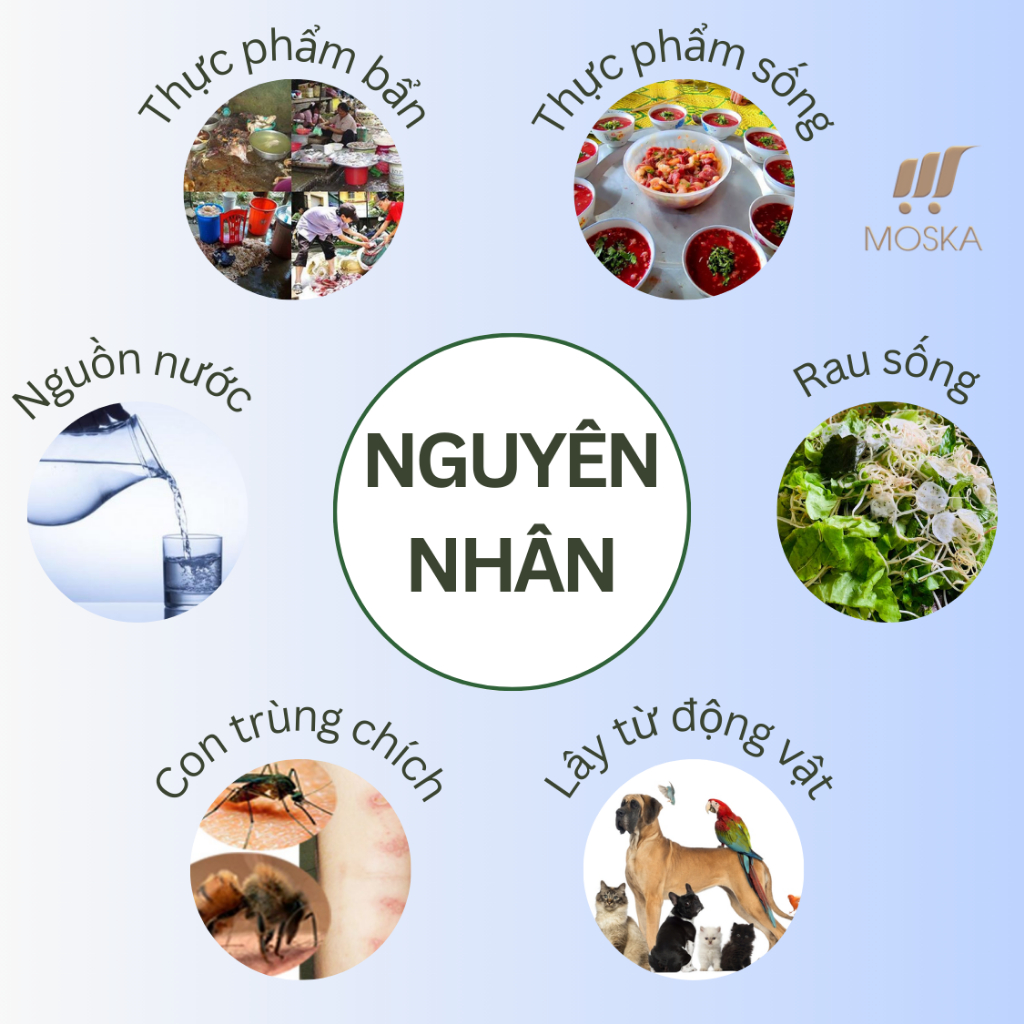 Viên Uống Thảo Dược Diệt Ký Sinh Trùng Cơ Thể Sạch Khỏe Detoxic Hendel's Garden Nga Tăng Cường Sức Khỏe