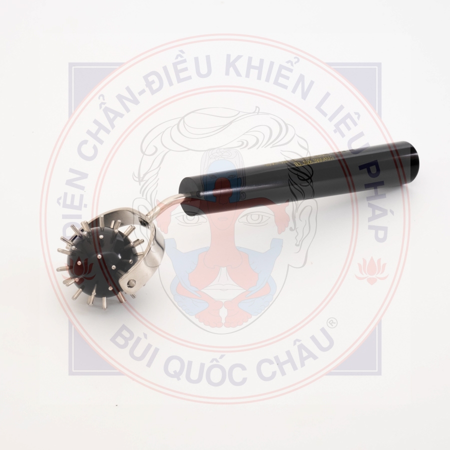 Lăn cầu đinh đơn