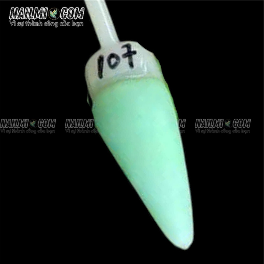 Bột đắp 3in1 - form - ombre - đắp hoa - mã 107