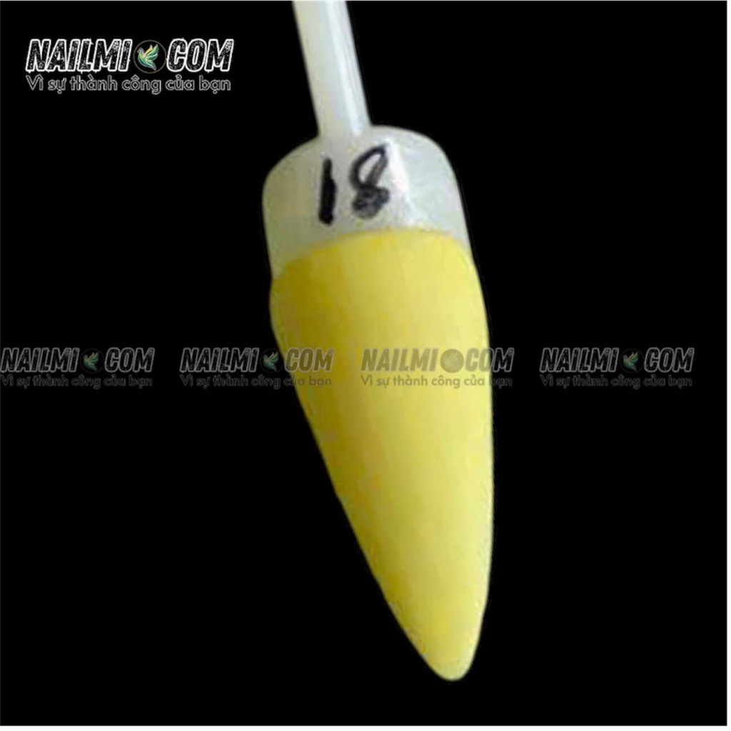 Bột đắp 3in1 - form - ombre - đắp hoa - mã 18