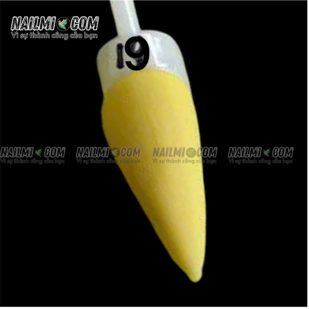 Bột đắp 3in1 - form - ombre - đắp hoa - mã 19