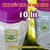 GDHT Bình Ngâm Rưou Thủy Tinh Nắp Tím/Đỏ Quai Xách Nhiều Size