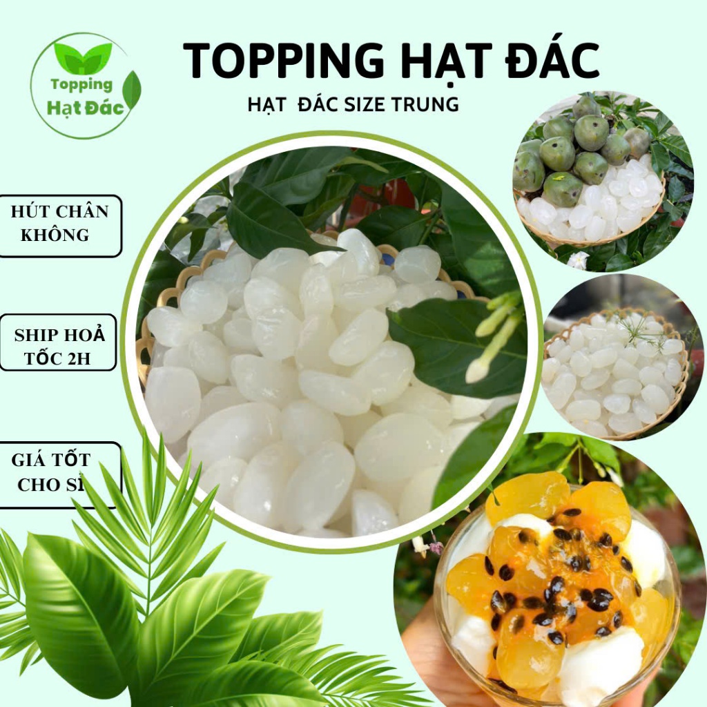 1KG HẠT ĐÁC tươi Khánh Hoà hạt trung lớn ≈ 30mm  làm topping trà nấu chè rim mix vị trái cây !