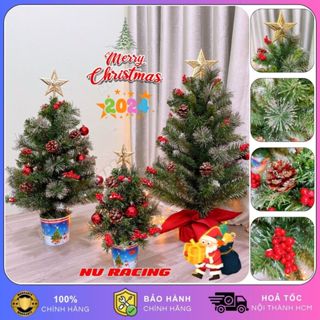 Cây Thông Noel Mini Để Bàn 3 Loại Lá Gắn Trái Thông Có Trang Trí Decor Trang Trí Giáng Sinh Noel