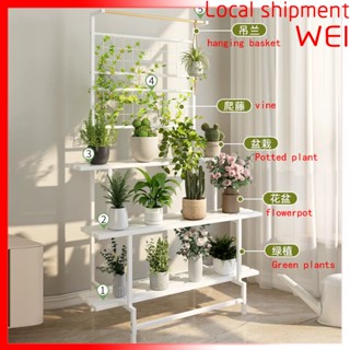 Hình dạng thang Lớn Kệ chậu hoa Ban công Trang chủ Cây leo cây xanh Loại sàn Giá đỡ Nghệ thuật sắt Phòng khách Nhiều lớp
