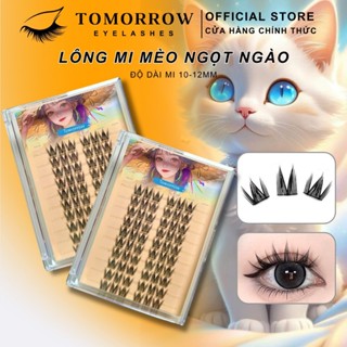 Mi Giả TOMORROW, Mi MÈO NGỌT NGÀO Mi Cụm Mi Chùm Mi Douyin Trang Điểm Cho Đôi Mắt, Kích Thước Lông Mi 12mm