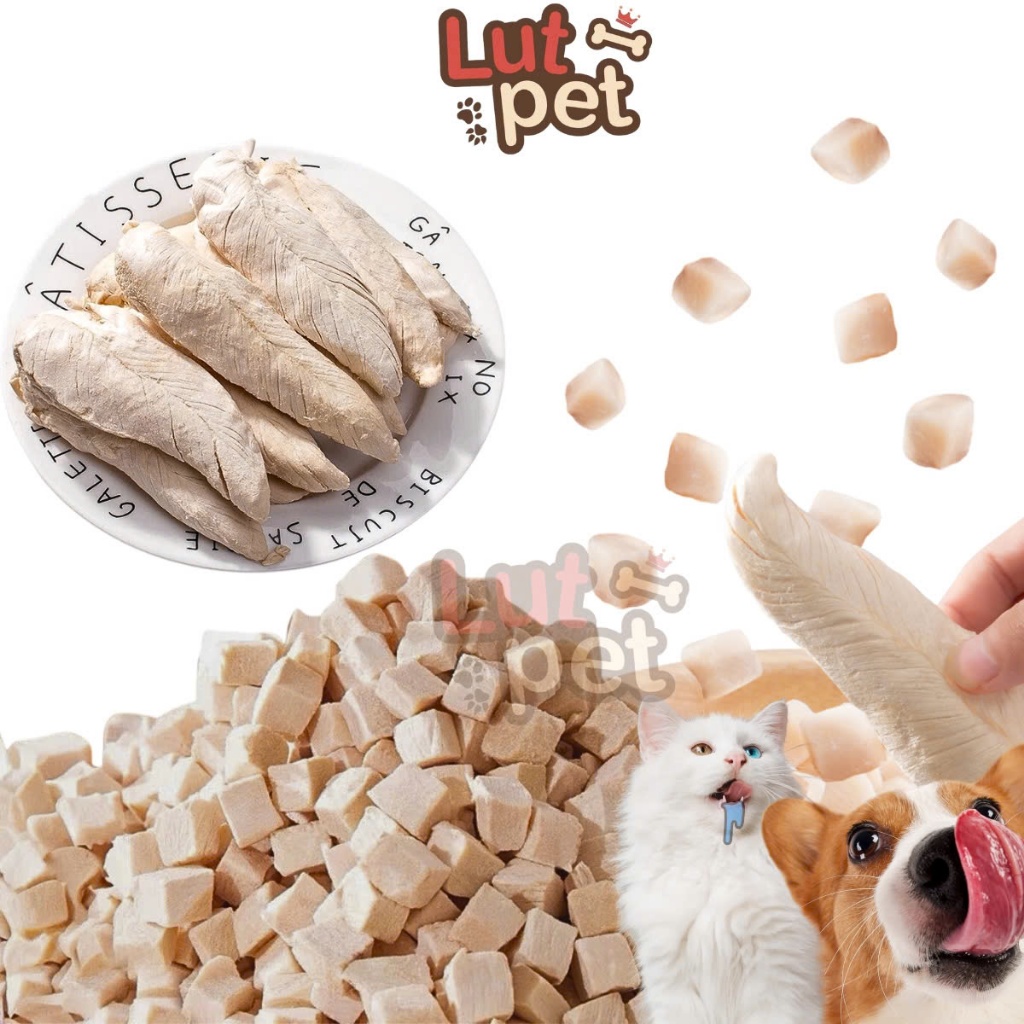 Ức gà sấy lạnh cho chó mèo, thịt gà viên, trứng gà sấy khô cho thú cưng (500gr) - lutpet