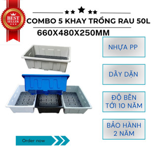 COMBO 5 Chậu trồng rau 50L/ Khay trồng rau/ Chậu trồng cây kích thước 660x480x250mm có chân 2cm 4 mầu