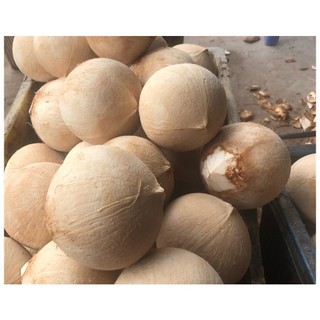 set 10 trái dừa xiêm gọt trọc không tẩy, sz 400g-500g , siêu ngọt