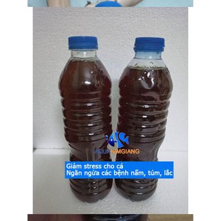 Nước cốt lá bàng khô Giảm Stres, ngăn ngừa nấm, túm lắc cho cá