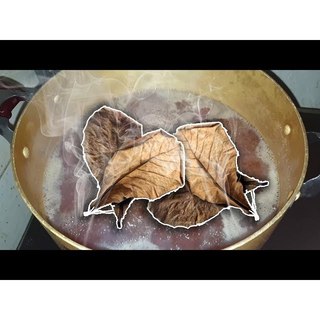 Nước cốt lá bàng khô Giảm Stres, ngăn ngừa nấm, túm lắc cho cá