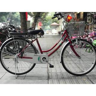 Xe Đạp Mini Asama CLD VI 2602 (Tặng đèn+ lục giác)