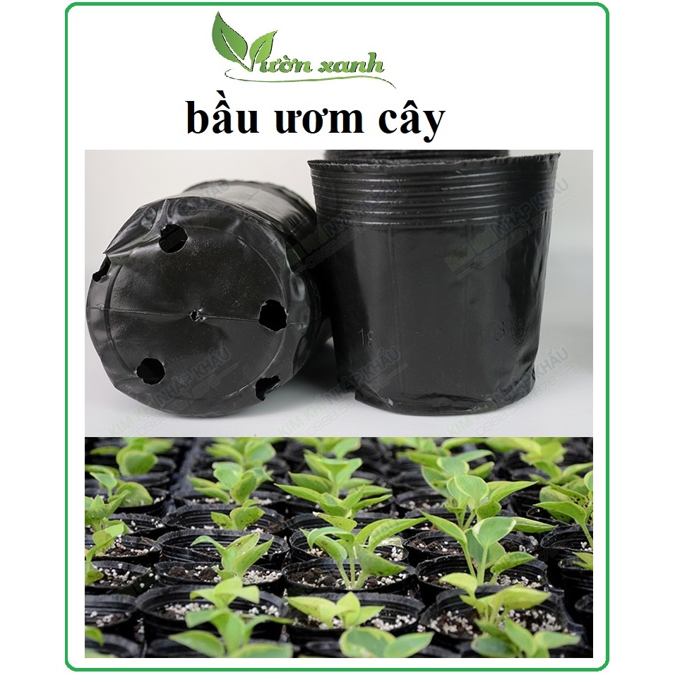 Set 5 chiếc - Cỡ lớn-  Túi bầu ươm cây nilon đen, túi ươm cây, bầu ươm cây
