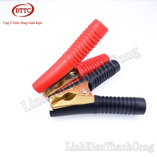 Kẹp Acquy 100A