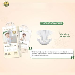 [TẶNG QUÀ] Tã/bỉm quần dán Molly kids Hàn Quốc NB66/S62/M56//M52/L48/XL44/XXL42/3XL40/4XL38