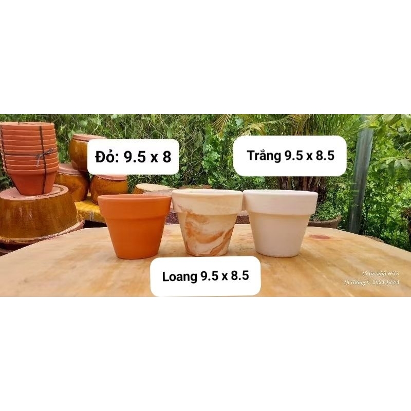 Chậu đất nung - chậu ly gờ miệng 9, cao 8