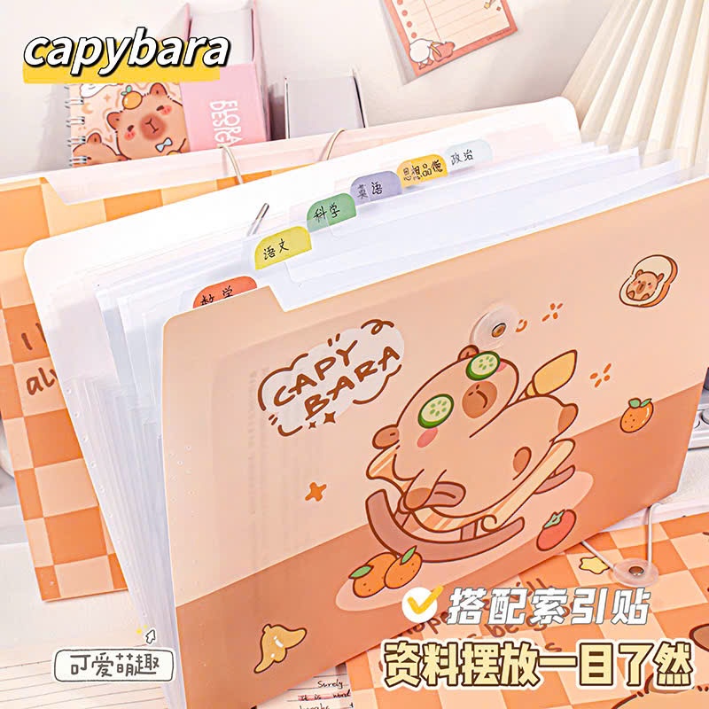 Túi đựng tài liệu Capybara chuột lang nước, Tập đựng A4 A6 A6, 8/12 ngăn chống nước Kèm Sticker phân chia ngăn