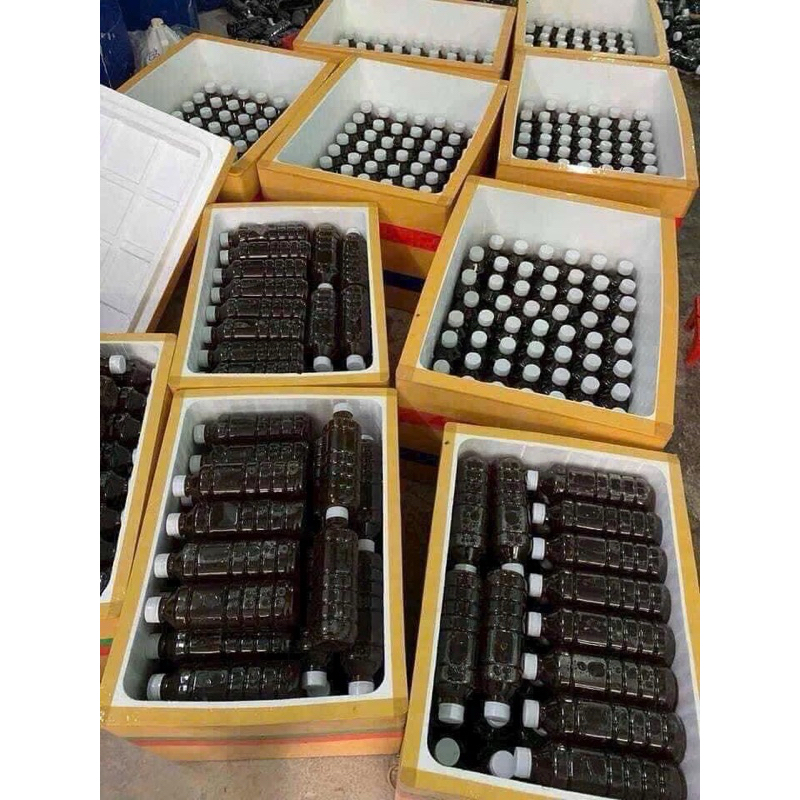 cốt sâm tái tạo da handmade
