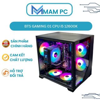 BTS NC 01 (I5-12600K - I5 13400/ B660M/ RAM 16GB/ SSD 500GB/ GTX 1660 Super/ 600W)