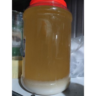 Mở heo tươi dùng chiên xào nấu ăn bổ dưỡng truyền thống