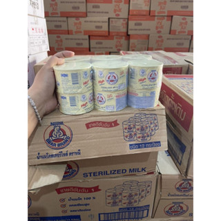 sữa gấu Nestle thùng 96 lon x140ml hàng chính hãng thái lan nội địa