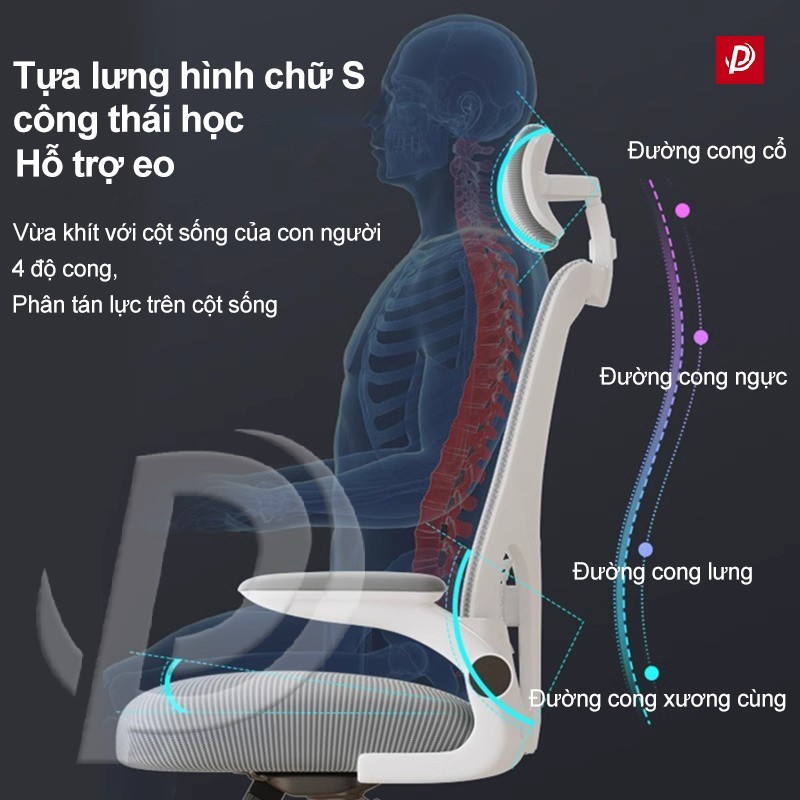 Ghế Xoay Văn Phòng Lưới Cao Cấp Chống Mỏi Lưng Xoay 360 Độ Lưng Cong Học Tập Làm Việc | BigBuy360 - bigbuy360.vn