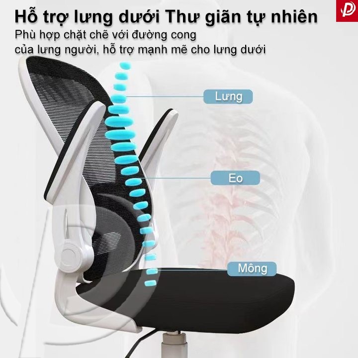 Ghế Xoay Văn Phòng Lưới Cao Cấp Chống Mỏi Lưng Xoay 360 Độ Lưng Cong Học Tập Làm Việc | BigBuy360 - bigbuy360.vn