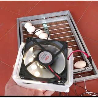 Máy Ấp Trứng Việt Nhật Cao Cấp Và Khay Đảo Trứng Tự Động 60 Trứng